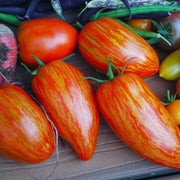 Red Speckle Tomato Seeds