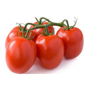 Roma Tomato Seeds