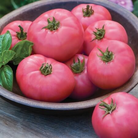 Baby Pink Tomato Seeds