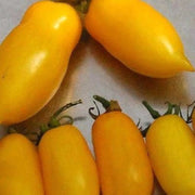 Banana Legs Tomato Seeds