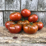 Brown Giant Tomato Seeds