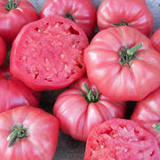Dark Pink Tomato Seeds