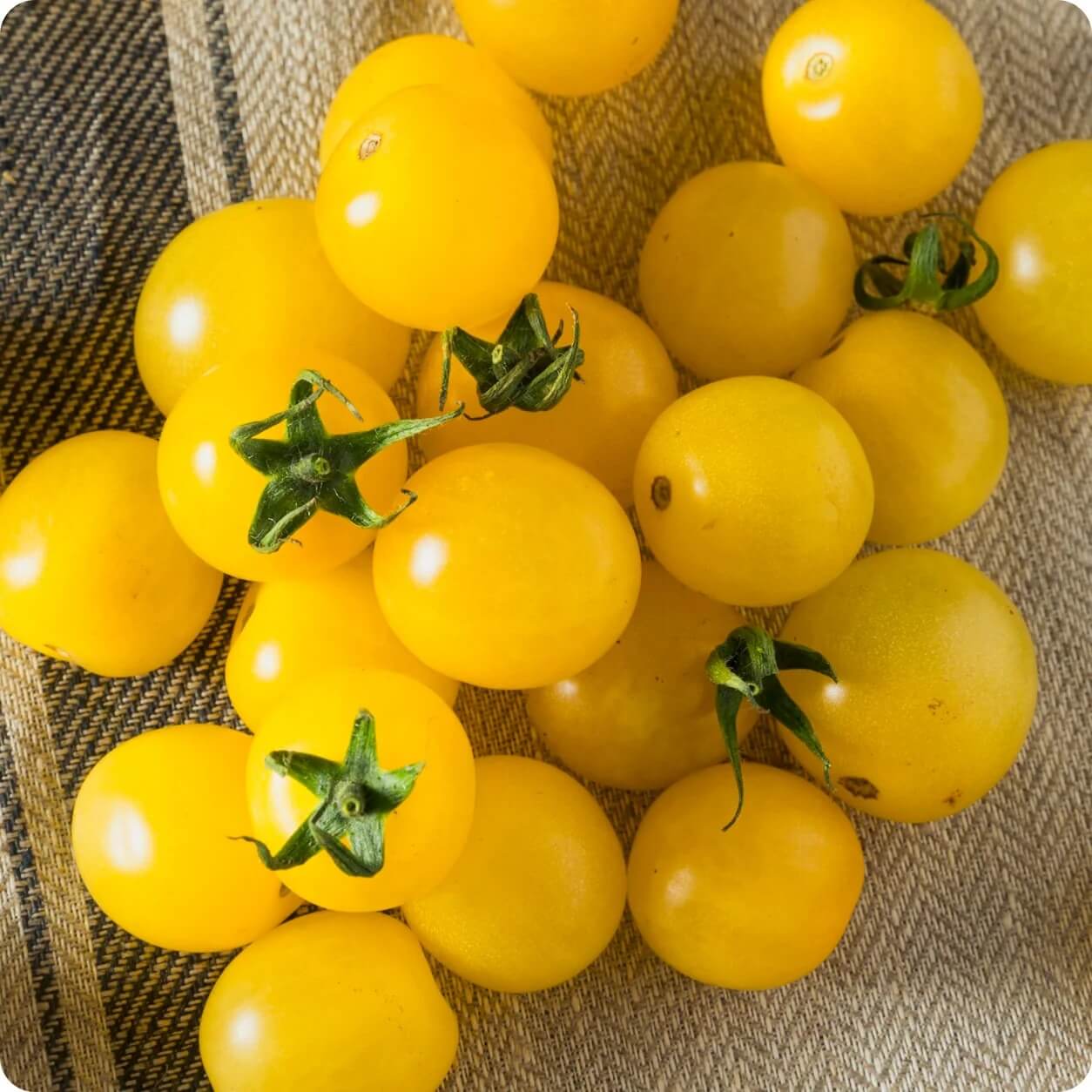 Gold Tomato Seeds