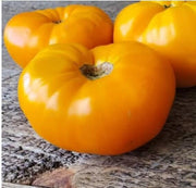 Gold Medal Yellow Tomato Seeds