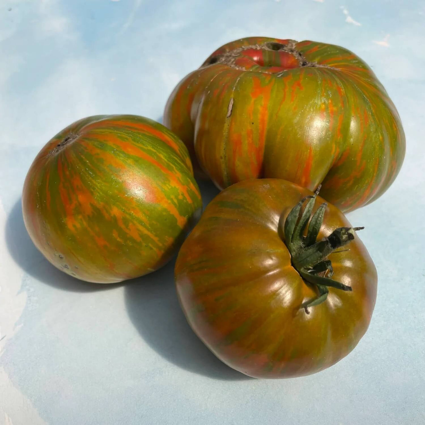 Green Brown Tomato Seeds
