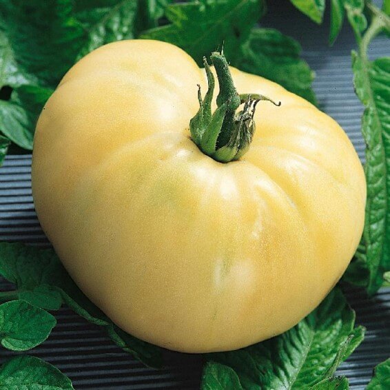 Beefsteak Tomato Seeds
