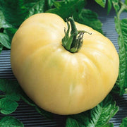 Beefsteak Tomato Seeds