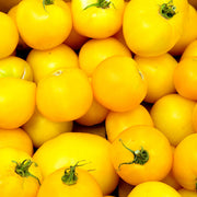 Lemon Boy Tomato Seeds