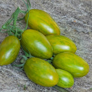 Lucky Tiger Tomato Seeds