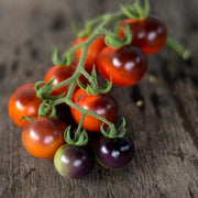 Mixed Blueberries Tomato Seeds