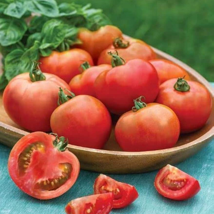 Moonglow Tomato Seeds