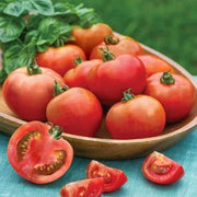 Moonglow Tomato Seeds
