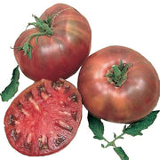 Nut Brown Tomato Seeds