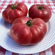 Omar's Giant Tomato Seeds