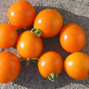 Orange Tomato Seeds