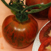 Orange Brown Tomato Seeds