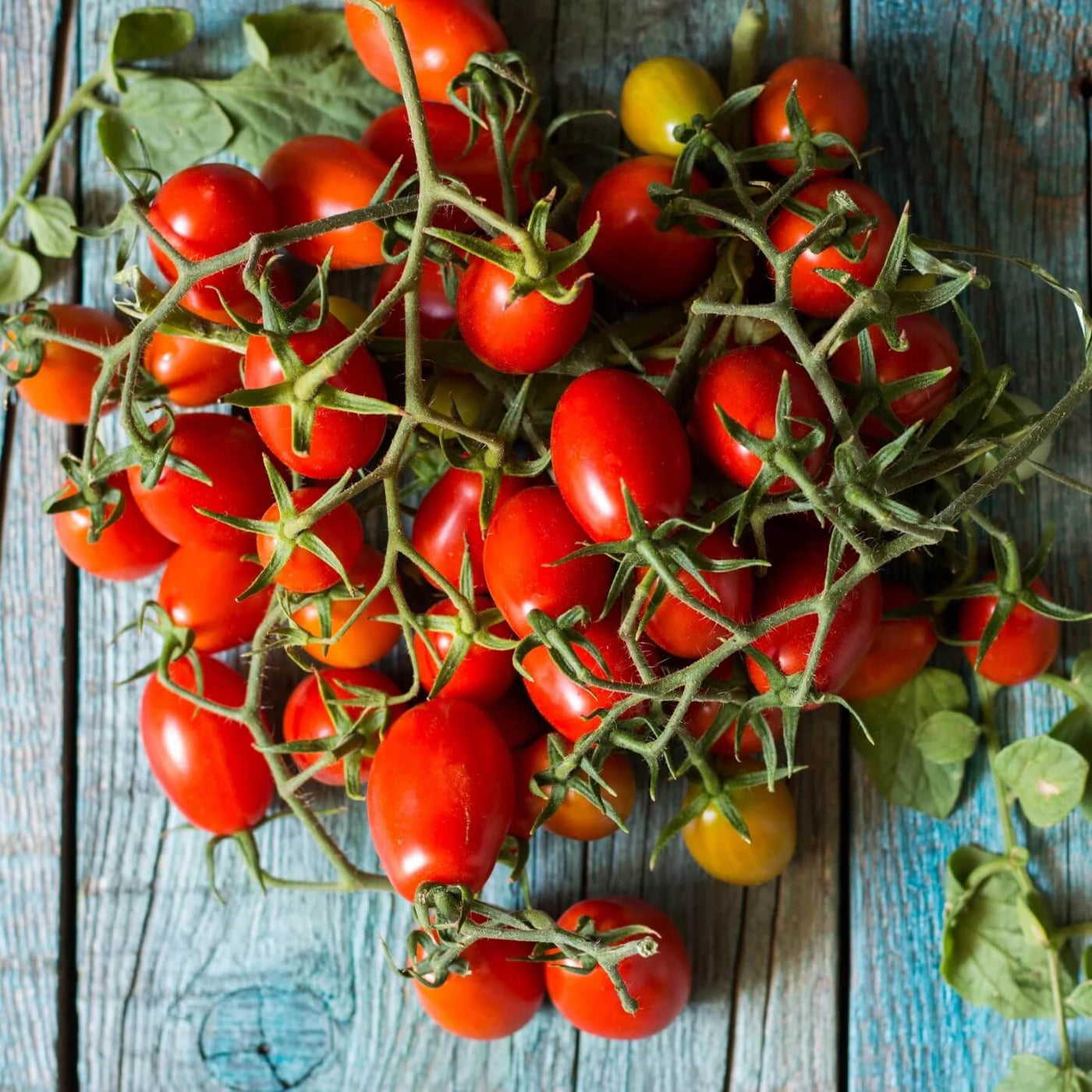 Piennolo Tomato Seeds