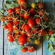 Piennolo Tomato Seeds
