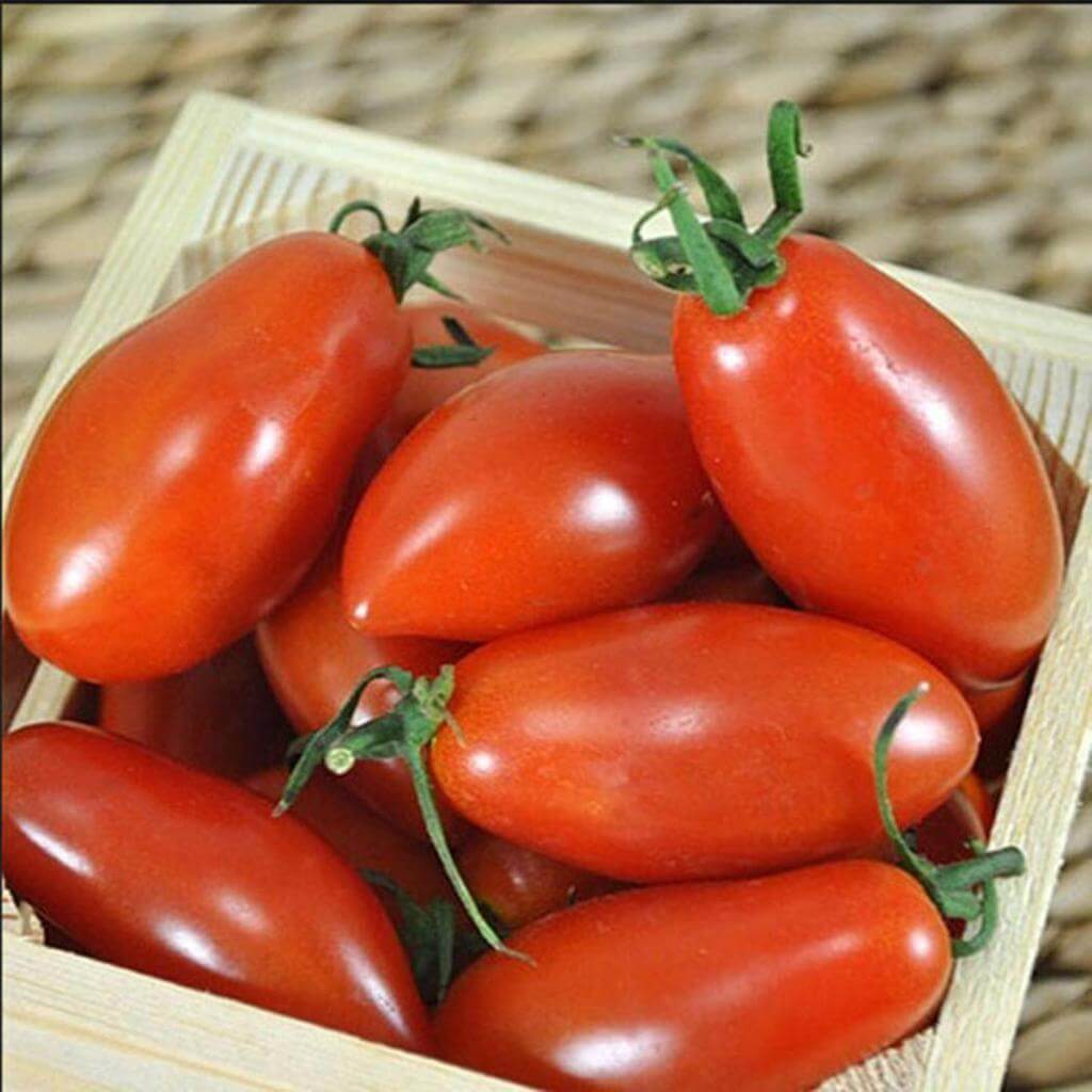 Red Banana Tomato Seeds