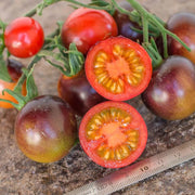 Red Gray Tomato Seeds
