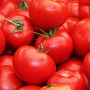 Red Horizon Tomato Seeds