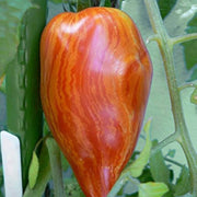 Red Speckle Tomato Seeds