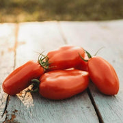 San Marzano Tomato Seeds