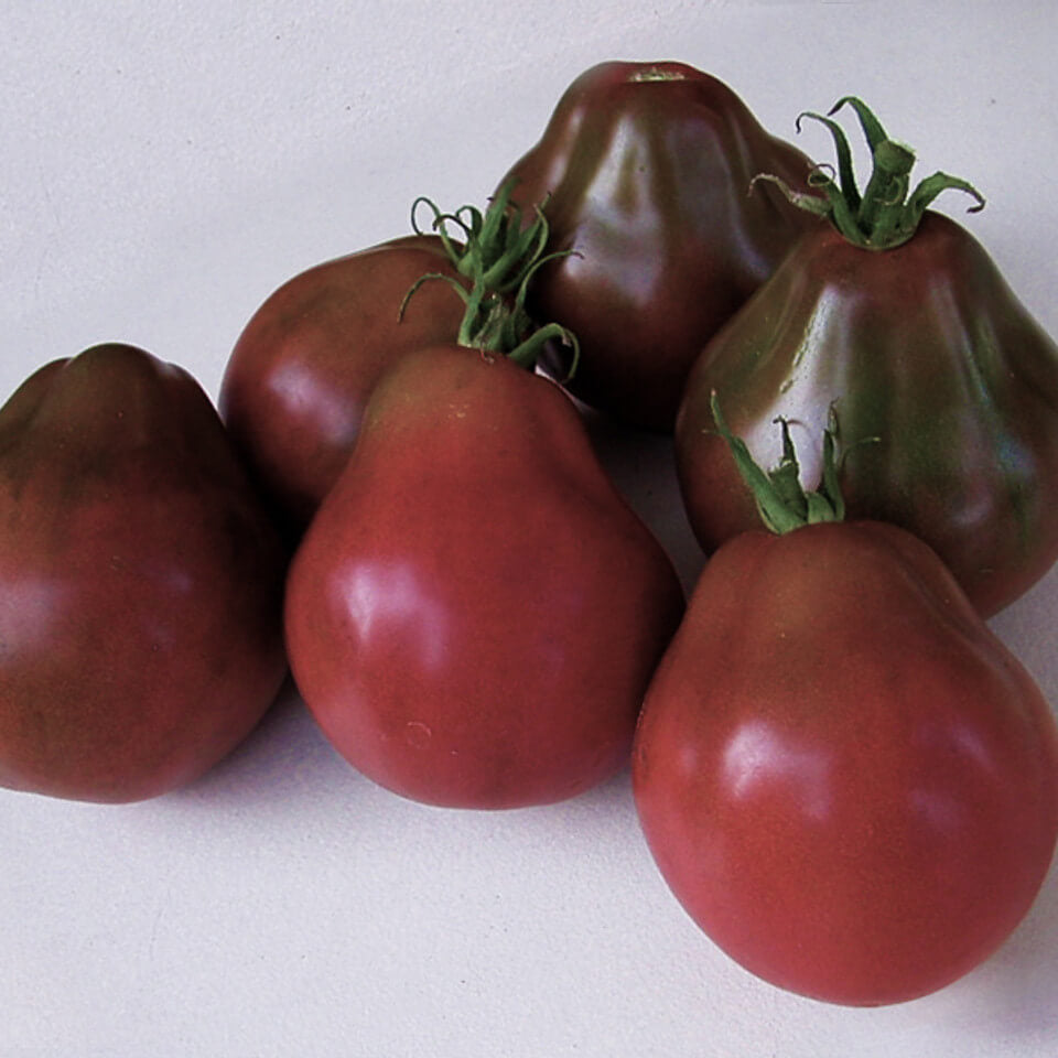 Truffle Black Tomato Seeds
