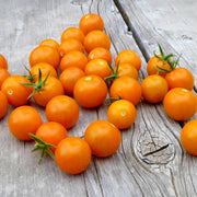 Sun Gold Cherry Tomato Seeds