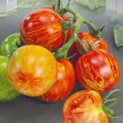 Tigerella Tomato Seeds