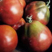 Truffle Black Tomato Seeds