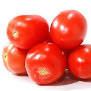 Viva Italia Tomato Seeds