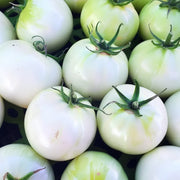 White Tomato Seeds
