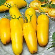Yellow Banana Tomato Seeds