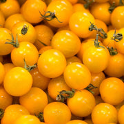 Yellow Cherry Tomato Seeds