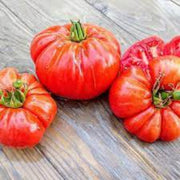 Zac Tomato Seeds