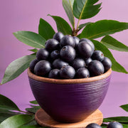 Tropical Seeds, Euterpe oleracea Fruit Seeds
