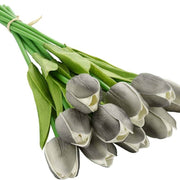 Dark Gray Tulip Seeds