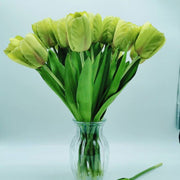 Green Tulip Seeds