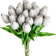 Dark Gray Tulip Seeds