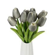 Dark Gray Tulip Seeds