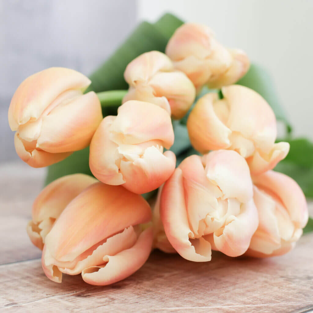 Peach Tulip Seeds