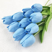 Sky Blue Tulip Seeds