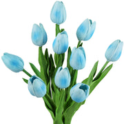 Sky Blue Tulip Seeds