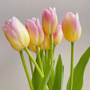 Yellow and Pink Tulip Seeds