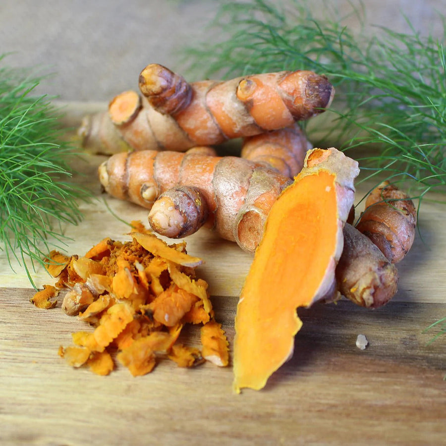 Brown Turmeric Seeds, Herbal