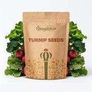 Turnip Seeds – Brassica rapa subsp. rapa