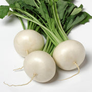 White Turnip Seeds