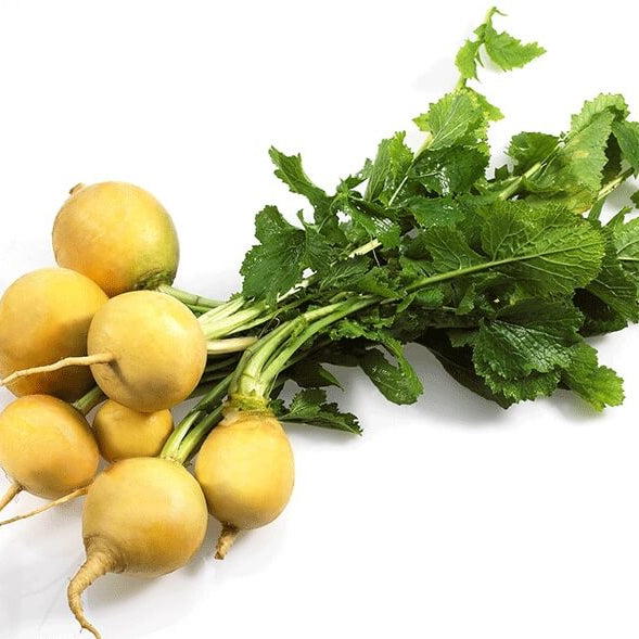 Golden Ball Turnip Seeds