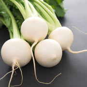 White Turnip Seeds